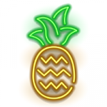 Die Ananas der M.Borgard Band in Neon